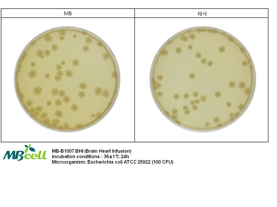 BHI Brain Heart Infusion Agar